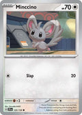 Minccino