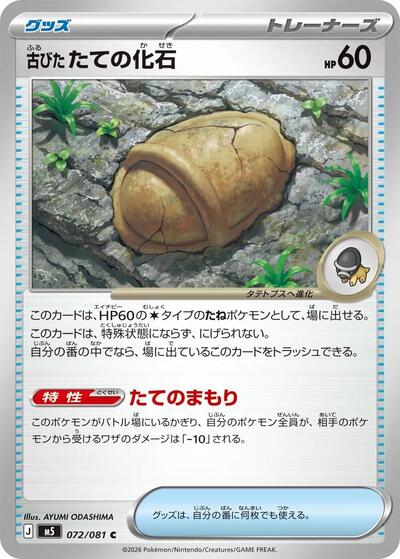 Antique Armor Fossil (m5 072)