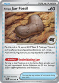 Antique Jaw Fossil